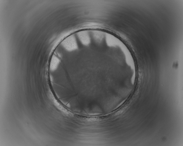 X0000114581421200911161259