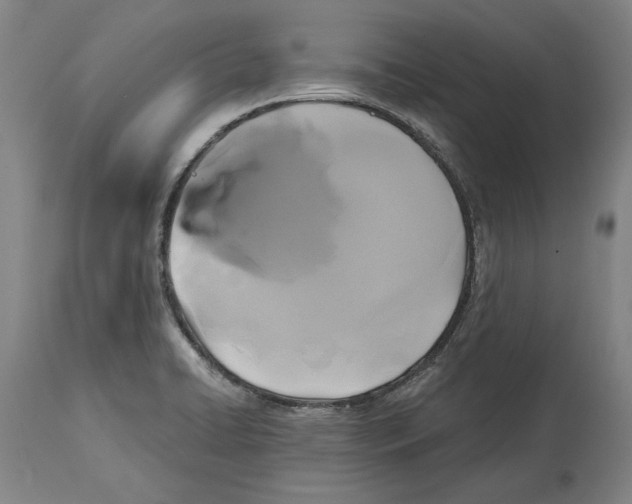 X0000114581422200911161259