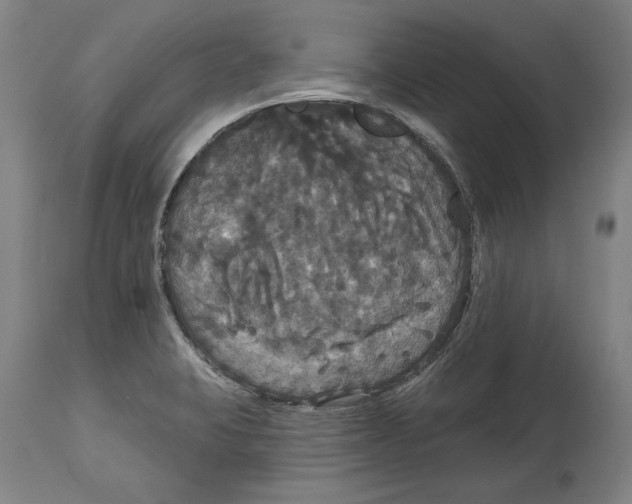 X0000114581423200911161259