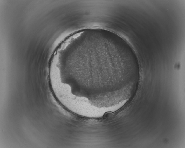 X0000114581424200911161259