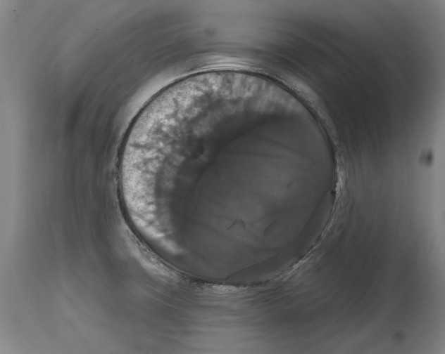 X0000114581427200911161259