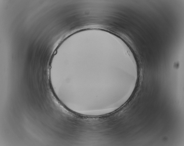 X0000114581428200911161259