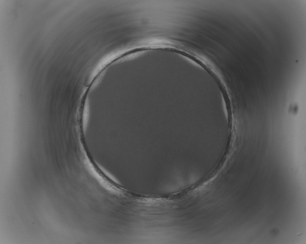 X0000114581429200911161259