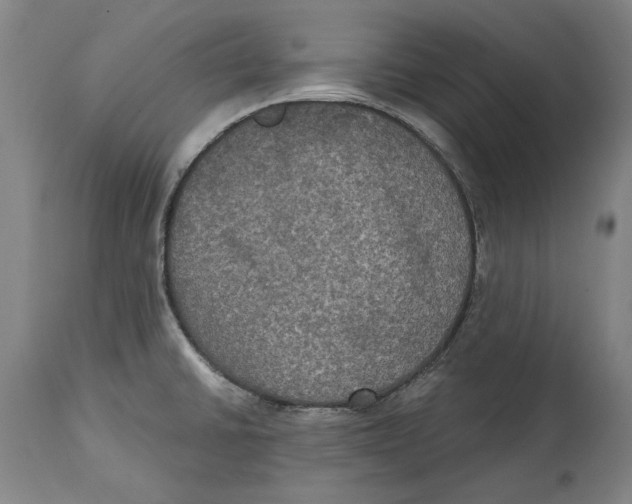 X0000114581430200911161259