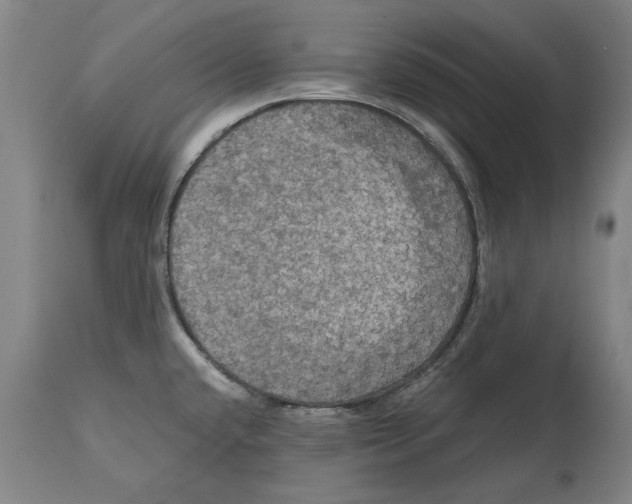 X0000114581432200911161259