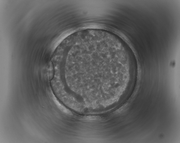 X0000114581433200911161259