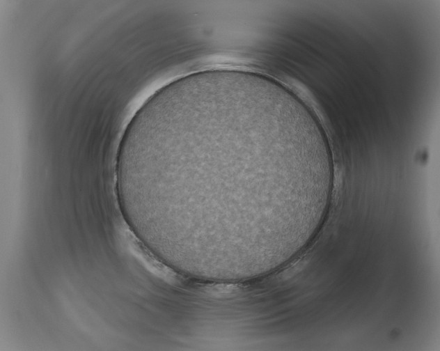 X0000114581435200911161259