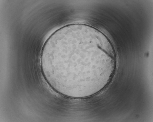 X0000114581436200911161259