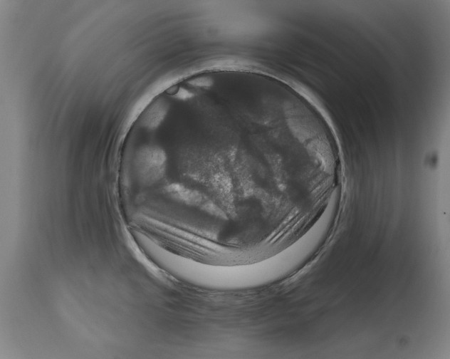 X0000114581437200911161259