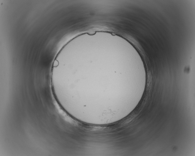 X0000114581439200911161259