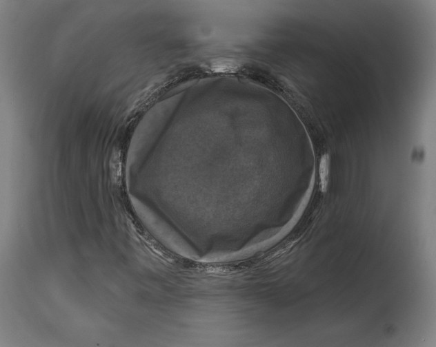 X0000114581443200911161258