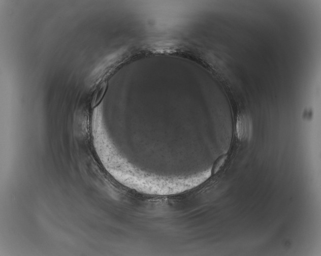 X0000114581444200911161258