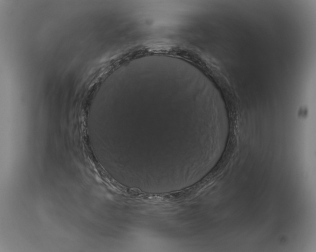 X0000114581445200911161258