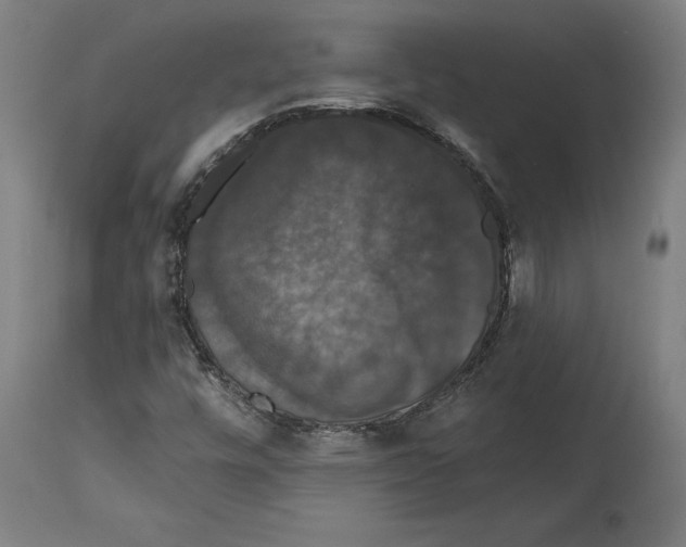 X0000114581448200911161258