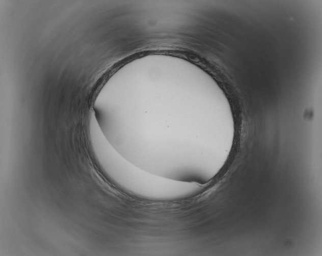 X0000114581449200911161258