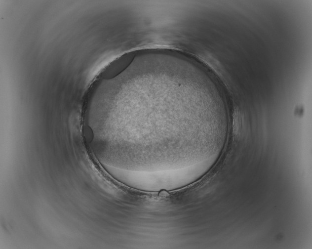 X0000114581452200911161258