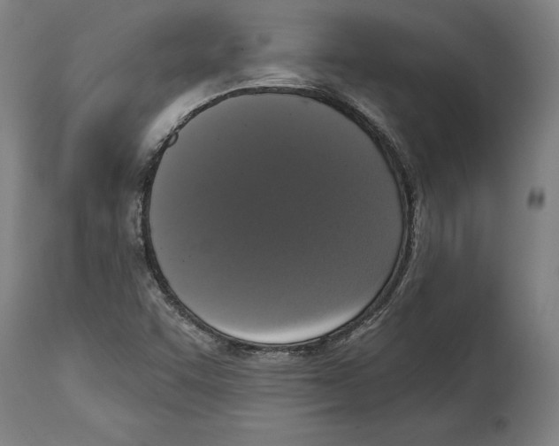 X0000114581455200911161258