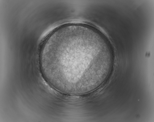 X0000114581456200911161258