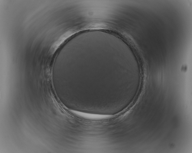 X0000114581457200911161258