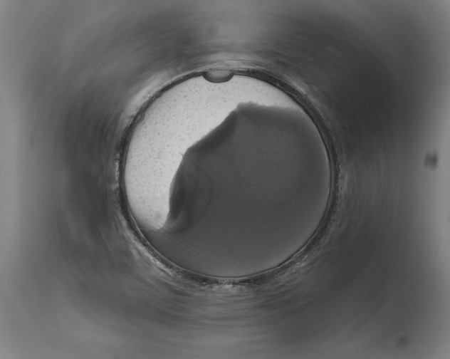 X0000114581459200911161258