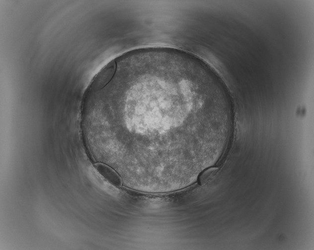 X0000114581460200911161258