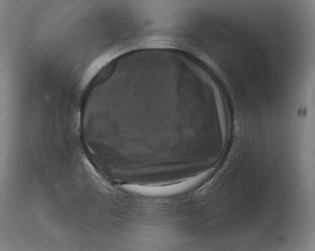 X0000114581461200911161258