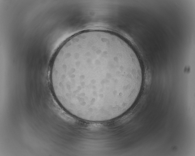 X0000114581462200911161258