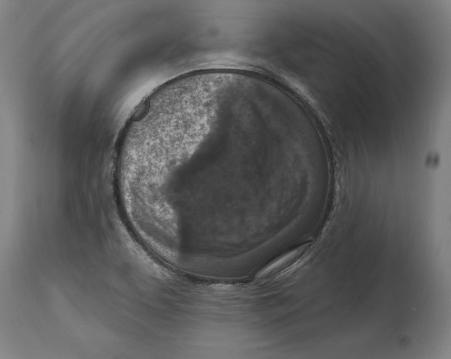 X0000114581463200911161258