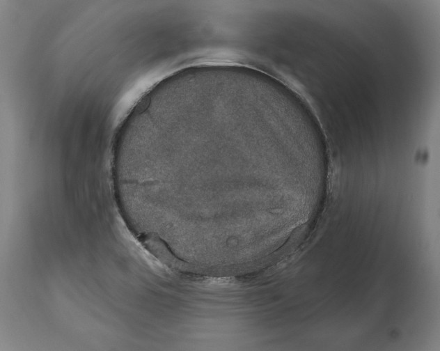 X0000114581464200911161258