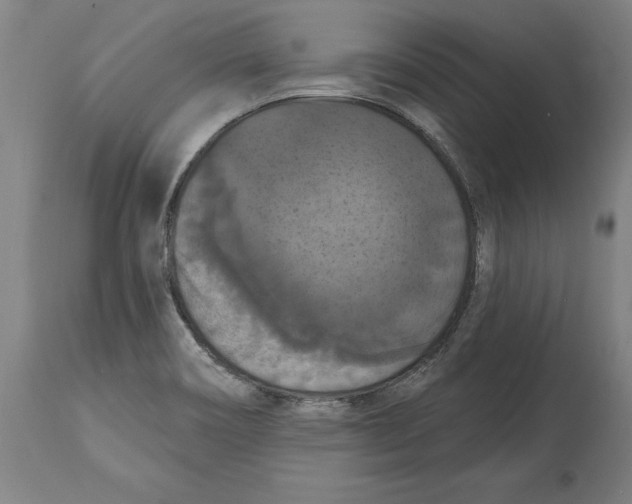 X0000114581466200911161258