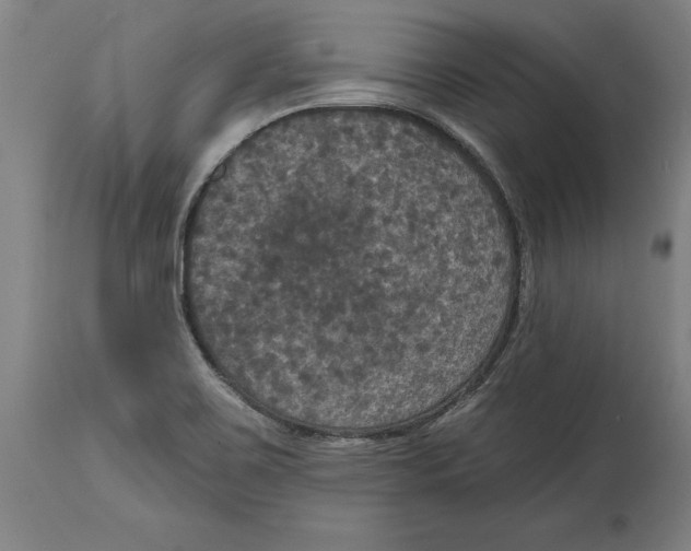 X0000114581467200911161258