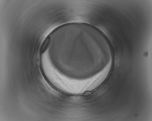 X0000114581468200911161258