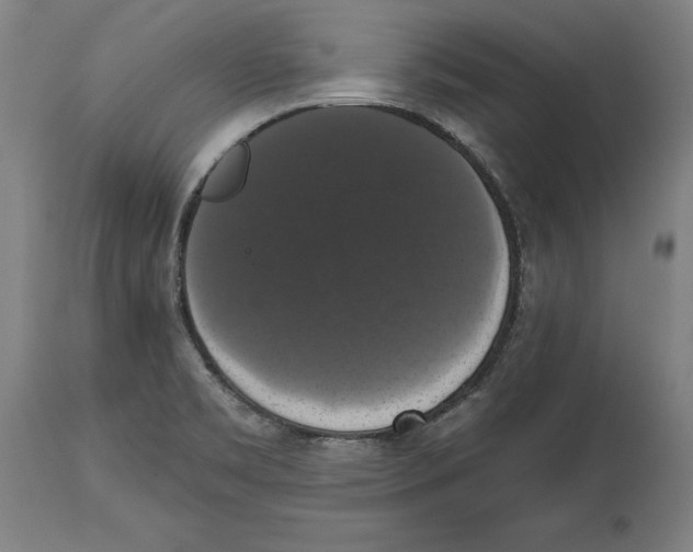 X0000114581469200911161258