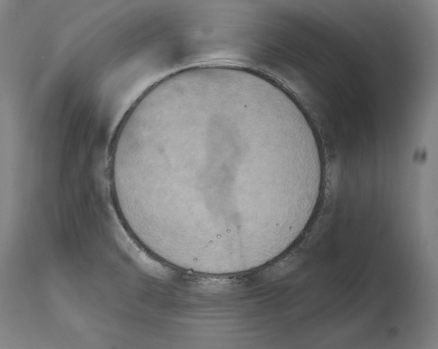 X0000114581470200911161258