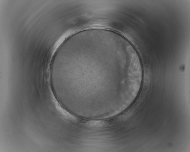 X0000114581474200911161258