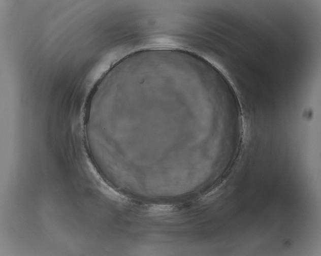 X0000114581477200911161258