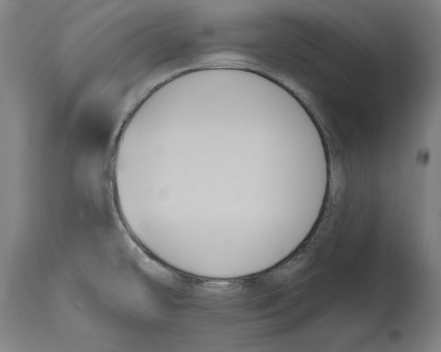 X0000114581478200911161258