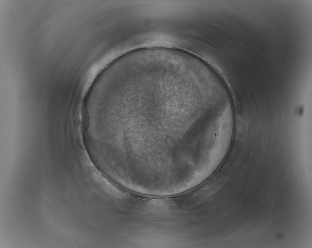 X0000114581480200911161258