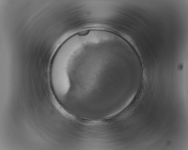 X0000114581482200911161258