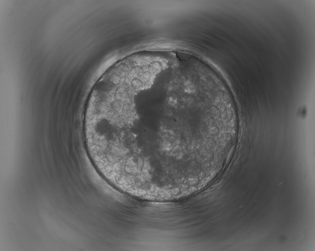 X0000114581483200911161258