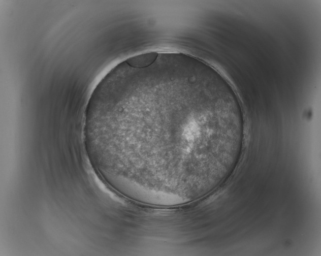 X0000114581484200911161258