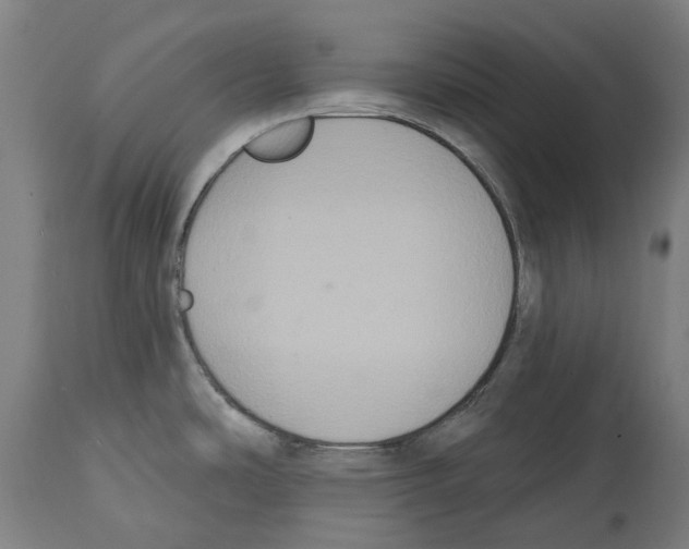 X0000114581486200911161258