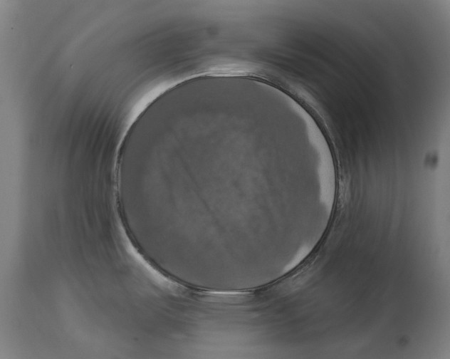 X0000114581487200911161258