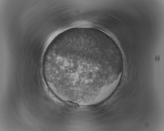 X0000114581488200911161258