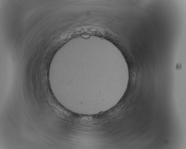 X0000114581489200911161257