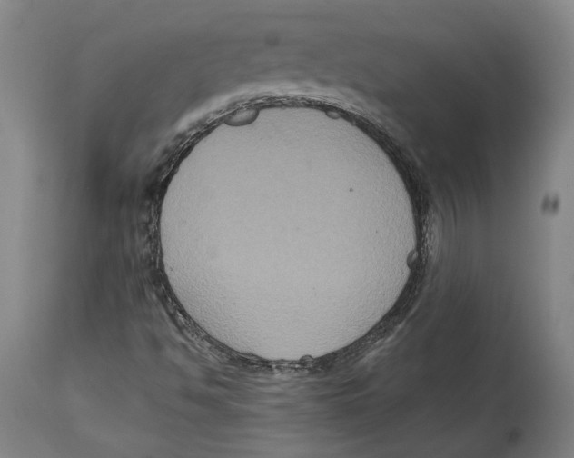 X0000114581494200911161257