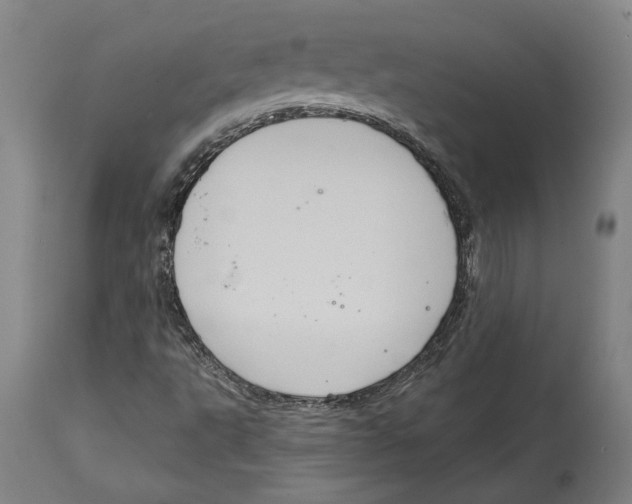 X0000114581495200911161257