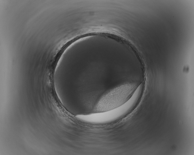 X0000114581497200911161257