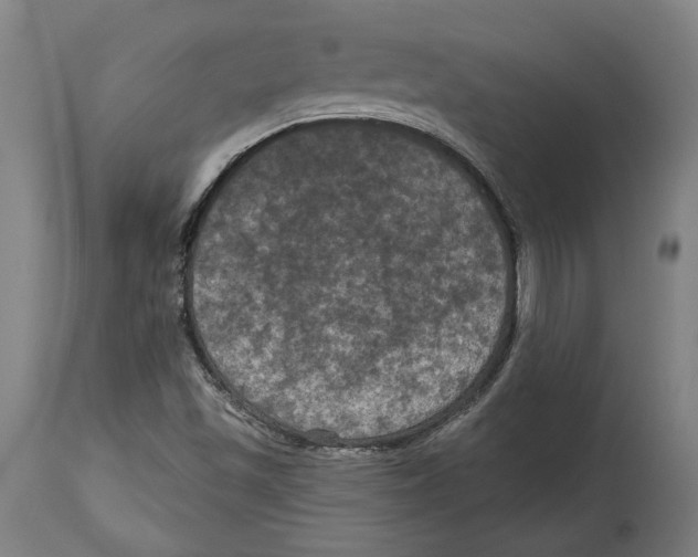 X0000114581501200911161257