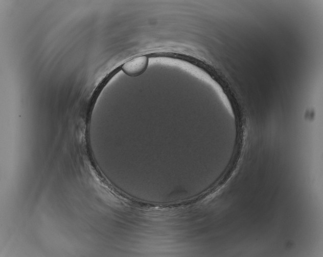 X0000114581505200911161257